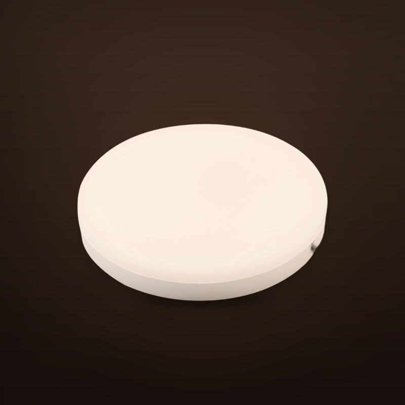 Emergency Ceiling Light