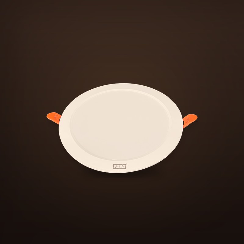 Round DOB Recess Down Light
